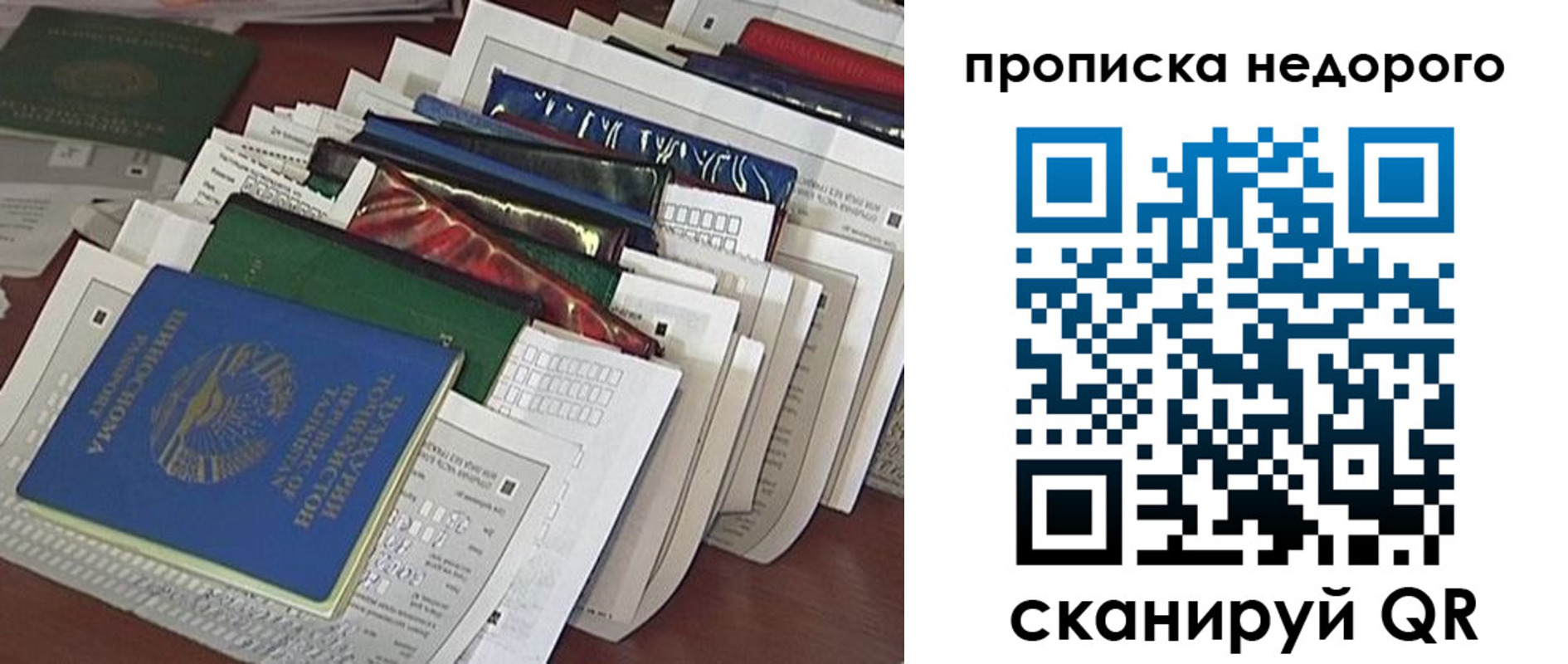 прописка гарантия в Шлиссельбурге