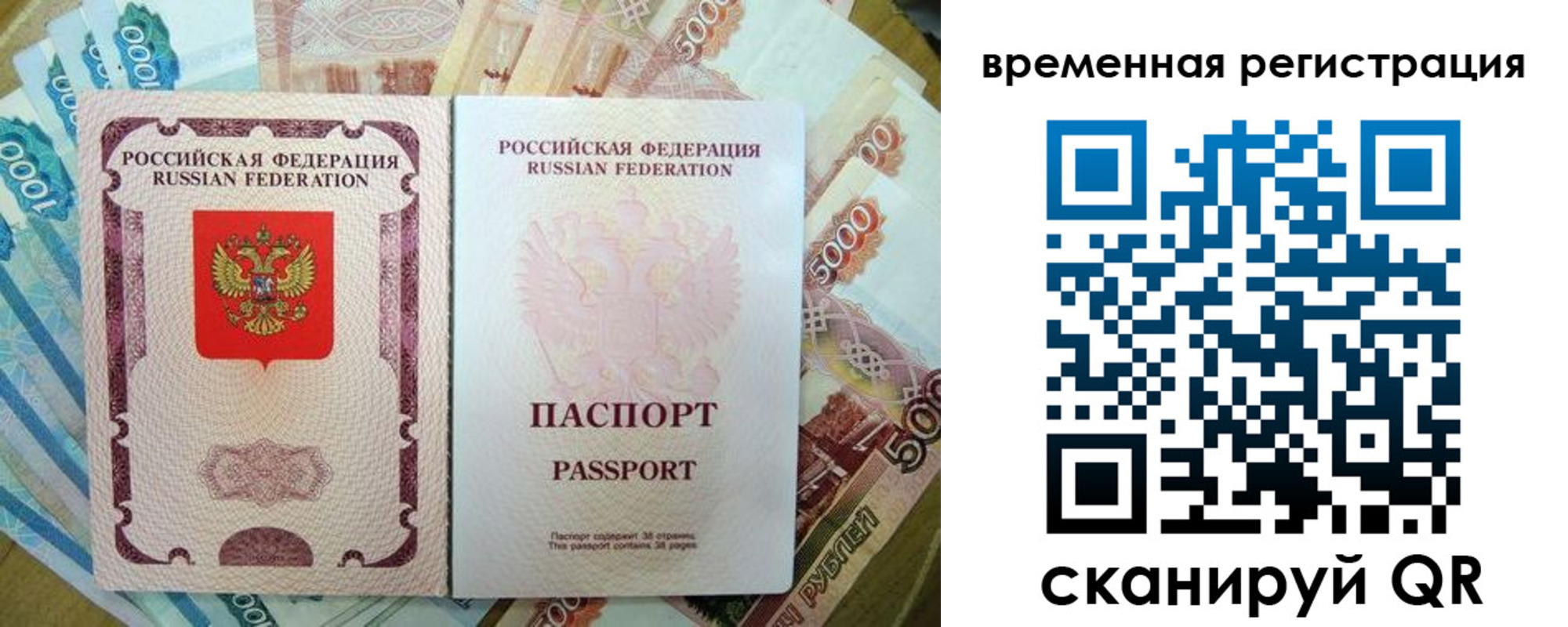 прописка для школы в Шлиссельбурге